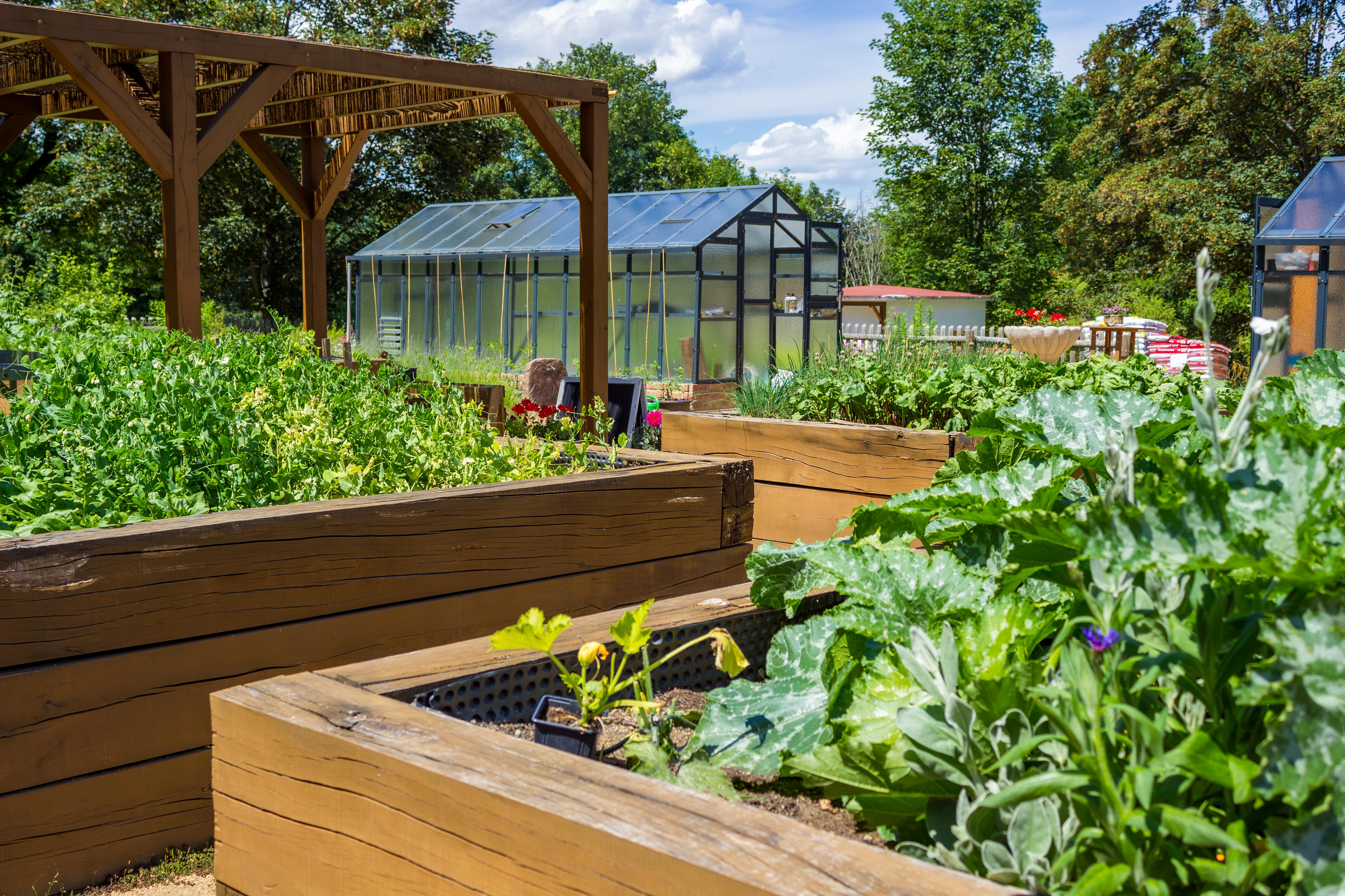 An infographic showcasing statistics about farming and chicken rearing in India